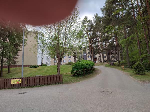 1h + avok + p  Turtkul - valokuva 5