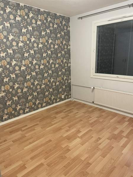 3h + p  Rovaniemi - valokuva 6