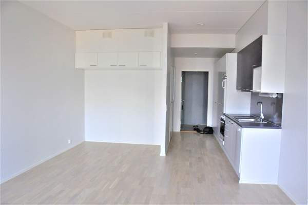 1h + avokeittiö + kph + lasitettu parveke  Vantaa - photo 7