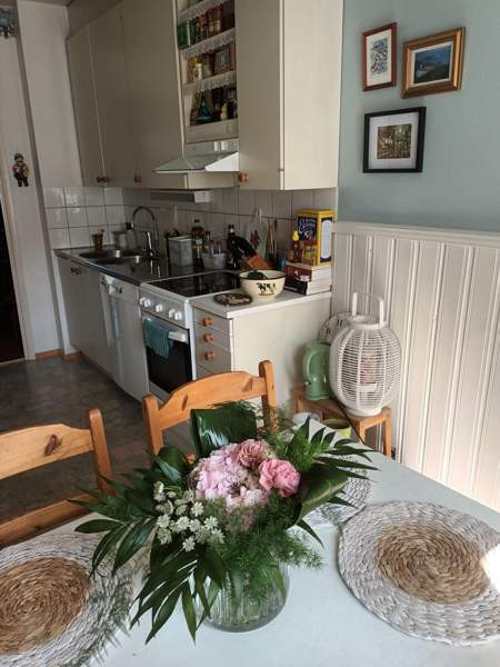 3h + k + s  Rauma – foto 2