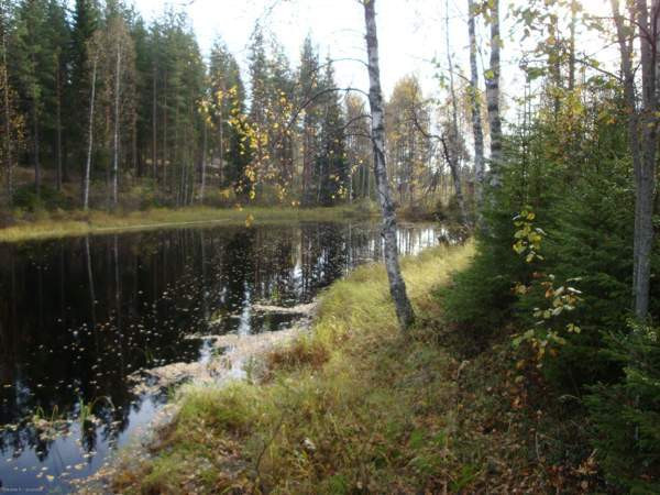 1h + s  Kurumkan - valokuva 8