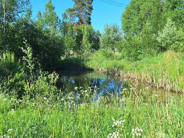 6h  Kemiönsaari - valokuva 6