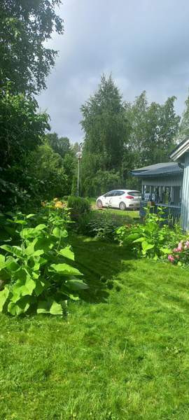 1h + k + s  Tohmajärvi - photo 3