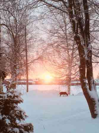 4h + k  Maalahti