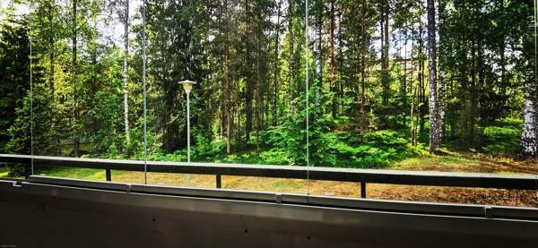 2h + k + p  Хейнола - изображение 6