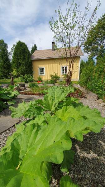 4h  Keitele - valokuva 1