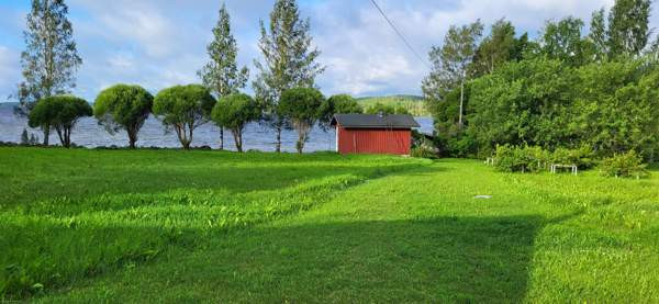 4h + avok + s  Kitee – foto 1