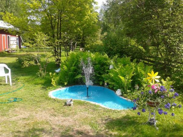 3h + k + s  Kemin – foto 2