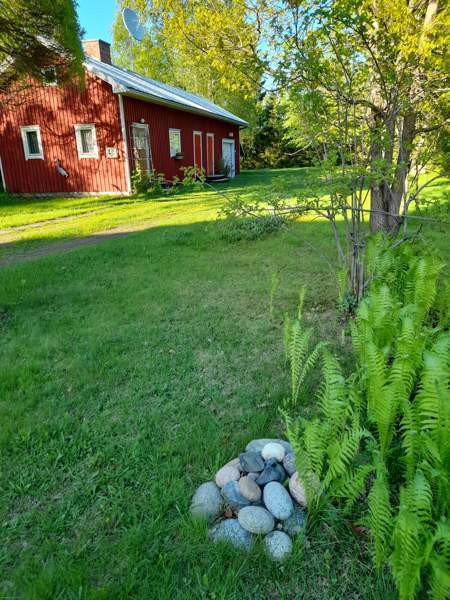 3h + k + s  Кемин - изображение 3