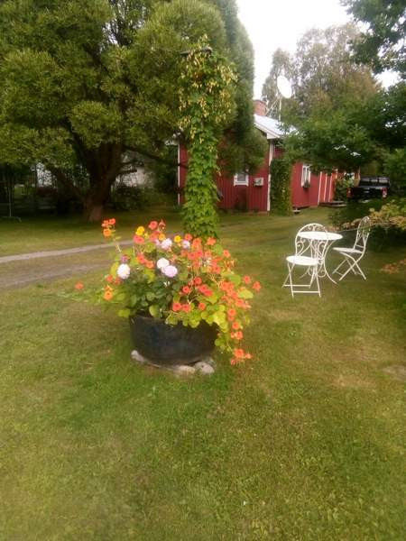 3h + k + s  Кемин - изображение 4