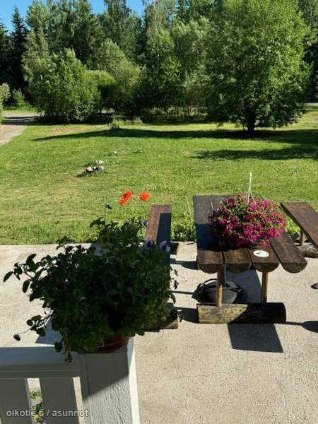 6h + s + p  Мянтсяля - изображение 5