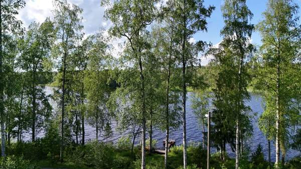 8h + 2 x k + p  Ювяскюля - изображение 3