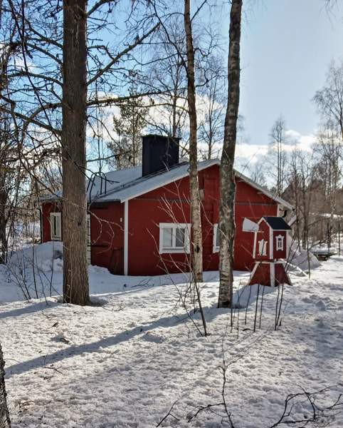 4h + k + s  Posio - valokuva 5