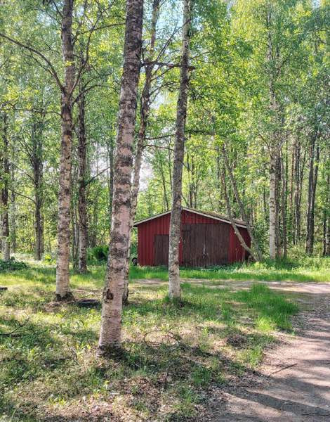 4h + k + s  Posio - valokuva 4