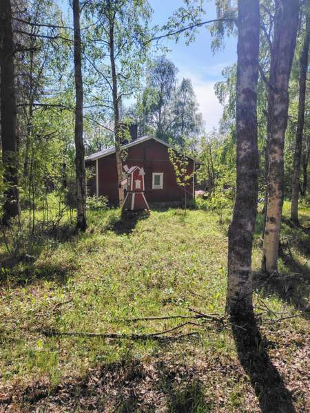 4h + k + s  Posio - valokuva 3