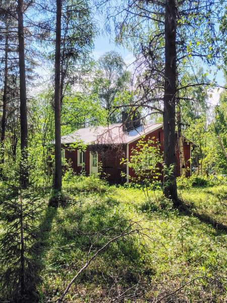 4h + k + s  Posio - valokuva 2