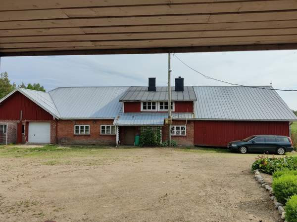 5h + k + s  Kurikka - valokuva 2