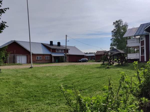 5h + k + s  Kurikka - valokuva 3