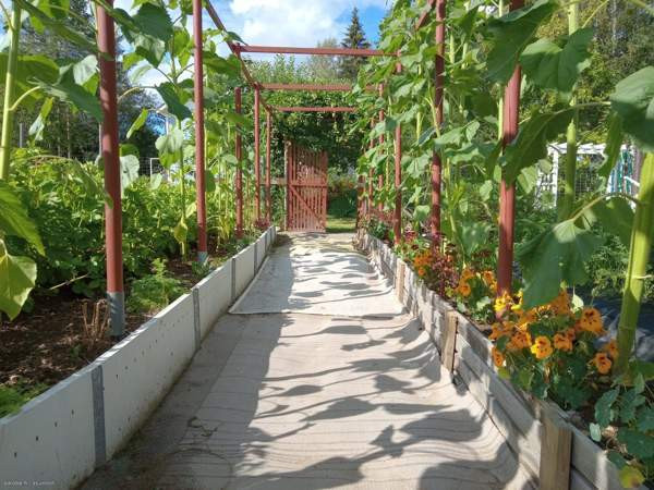 2h ja keittiö ja yläkerta  Saarijärvi - photo 3