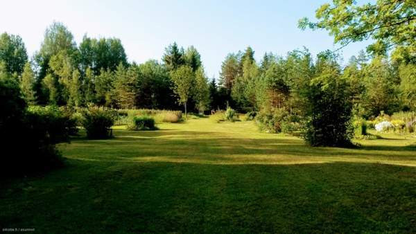 2h ja keittiö ja yläkerta  Saarijärvi - photo 8