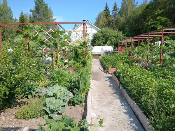 2h ja keittiö ja yläkerta  Saarijärvi - photo 5