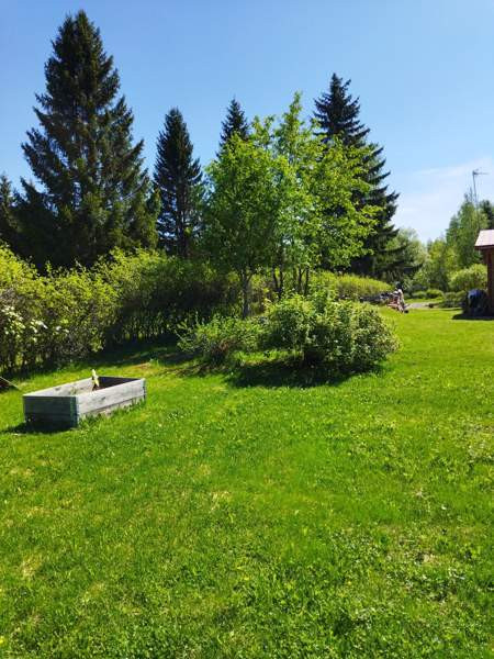 4h + k + s  Joensuu - photo 4