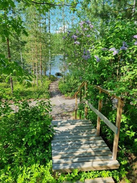 1h  Kuhmoinen - photo 5