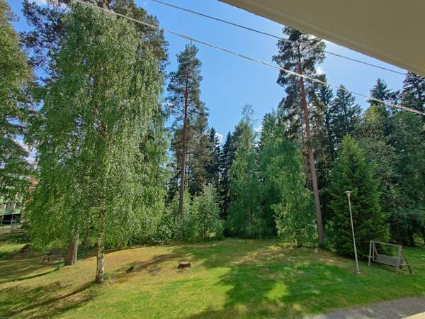 2h + k + p  Virrat - valokuva 7
