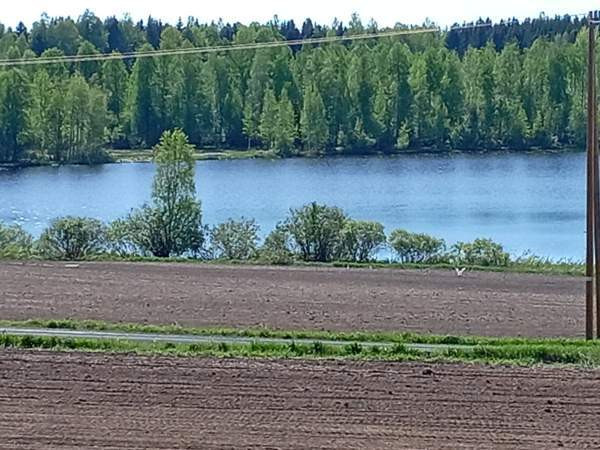 6h + s + p+kh+ke+vh+2wc+2at+4var.  Nilsiä - photo 4