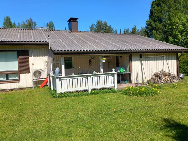4h + k + s  Luga - valokuva 5