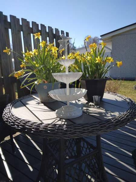 2h + k + s + p  Запорожская область - изображение 7