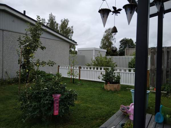 2h + k + s + p  Запорожская область - изображение 1