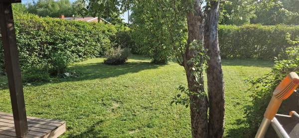 3h + k + s  Кемин - изображение 1