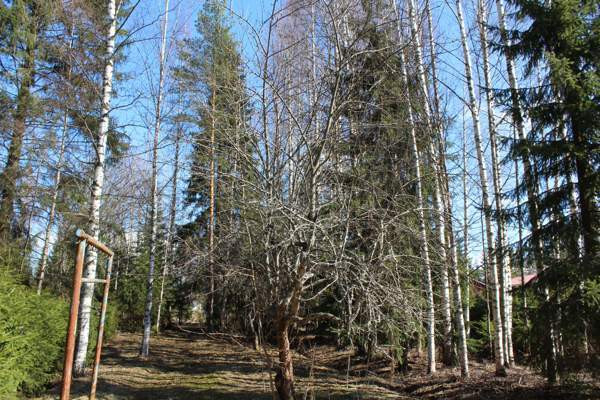 3h  Varkaus - valokuva 4