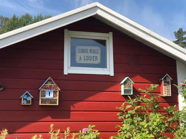 Siirtolapuutarhatontti 366 m2 lämpöeristetyllä 7m2  Sibbo - valokuva 1