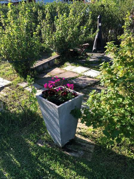 Siirtolapuutarhatontti 366 m2 lämpöeristetyllä 7m2  Sibbo - valokuva 7