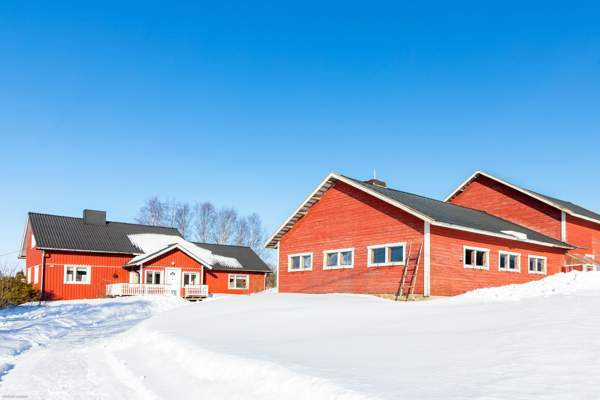 6h + 2k + s  Ylitornio - photo 1