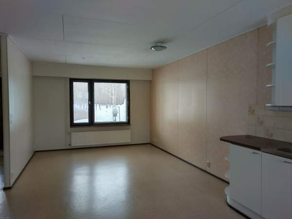 2h + s  Reisjärvi - photo 3