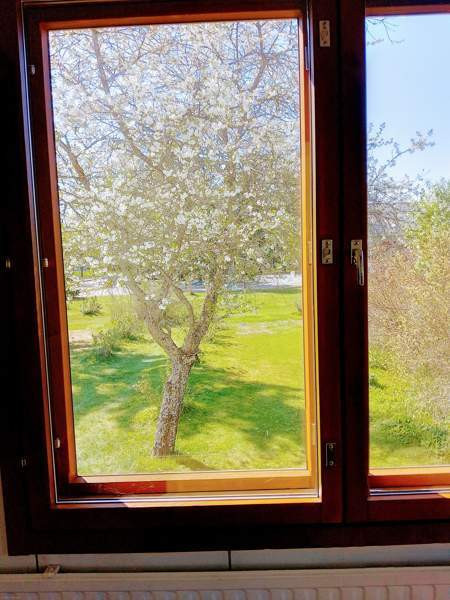 6h + k + s + p  Mynämäki - photo 8