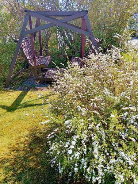 6h + k + s + p  Mynämäki - photo 7