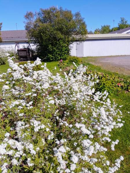 6h + k + s + p  Mynämäki - photo 5