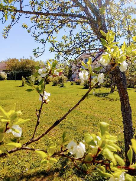 6h + k + s + p  Mynämäki - photo 4