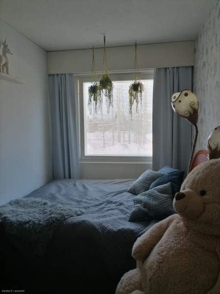 3h + k + p  Lieksa – foto 6