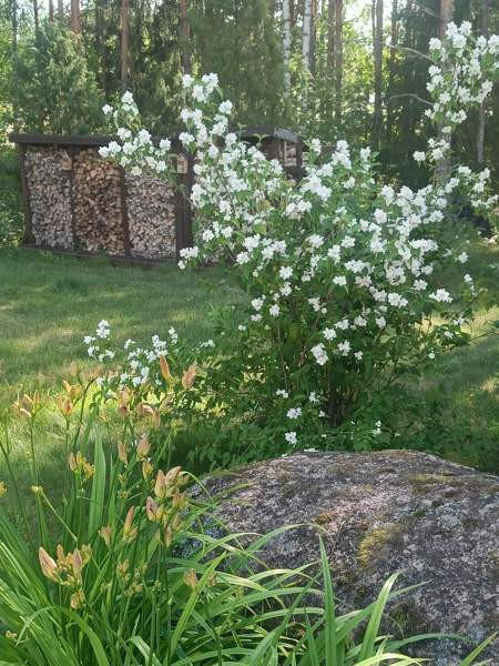 5h + k + khh+ s  Hamina - photo 8