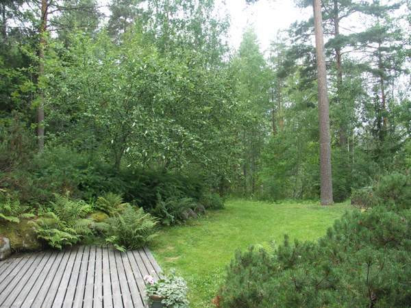 6h + avok + s + tkh + khh + p  Hyvinge – foto 8