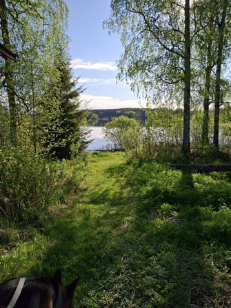 5h + k + s  Mänttä-Vilppula - изображение 3