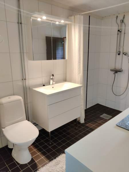 3h + k + s  Zaporiz'ka Oblast' - valokuva 3