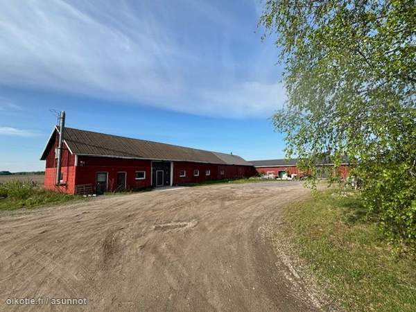 5h  Kauhava – foto 1