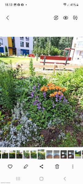 1h + kk  Вантаа - изображение 7