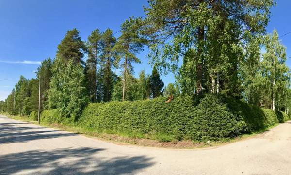 5h + s  Ranua - photo 8